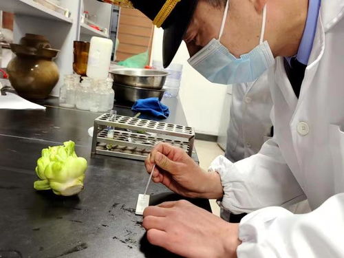 浙江余姚 筑牢榨菜加工安全防線，守護源頭生產第一關